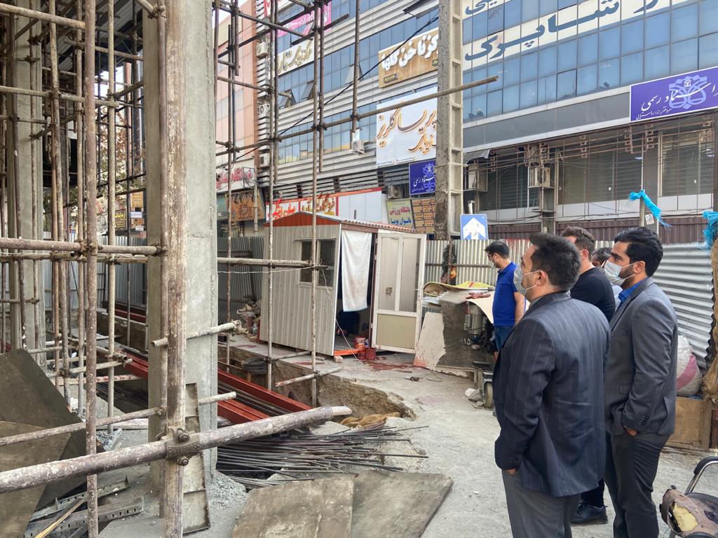 MAPSA Marlik Project (1)